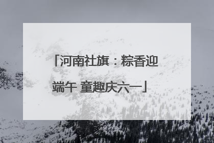 河南社旗：粽香迎端午 童趣庆六一