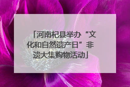 河南杞县举办“文化和自然遗产日”非遗大集购物活动