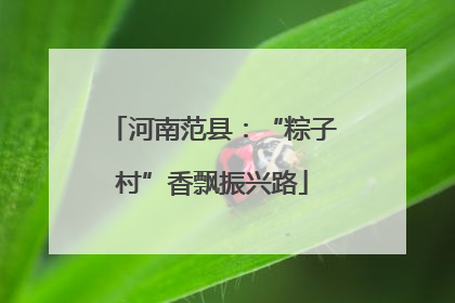 河南范县：“粽子村”香飘振兴路