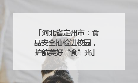 河北省定州市：食品安全抽检进校园，护航美好“食”光