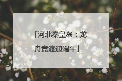 河北秦皇岛：龙舟竞渡迎端午