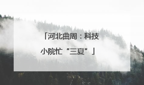 河北曲周：科技小院忙“三夏”