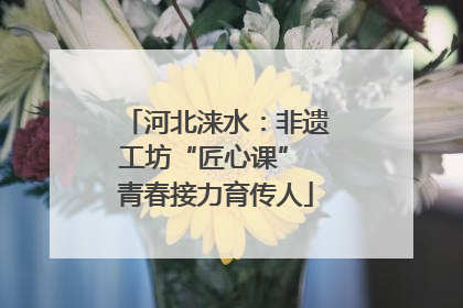 河北涞水：非遗工坊“匠心课” 青春接力育传人