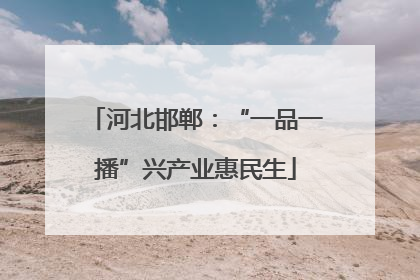 河北邯郸：“一品一播”兴产业惠民生