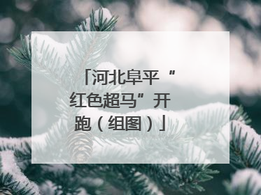 河北阜平“红色超马”开跑（组图）