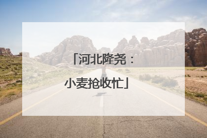 河北隆尧：小麦抢收忙