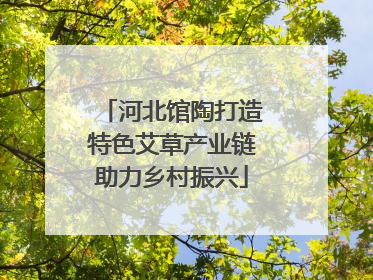 河北馆陶打造特色艾草产业链助力乡村振兴