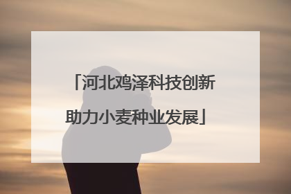 河北鸡泽科技创新助力小麦种业发展