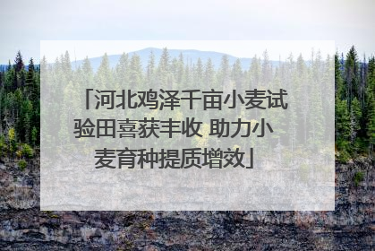 河北鸡泽千亩小麦试验田喜获丰收 助力小麦育种提质增效