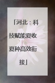河北：科技赋能夏收夏种高效衔接