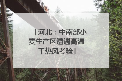 河北：中南部小麦生产区遭遇高温干热风考验