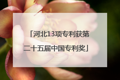河北13项专利获第二十五届中国专利奖