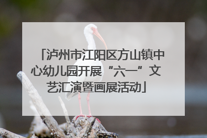 泸州市江阳区方山镇中心幼儿园开展“六一”文艺汇演暨画展活动