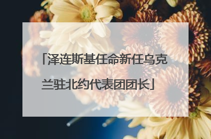 泽连斯基任命新任乌克兰驻北约代表团团长