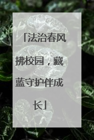 法治春风拂校园，藏蓝守护伴成长
