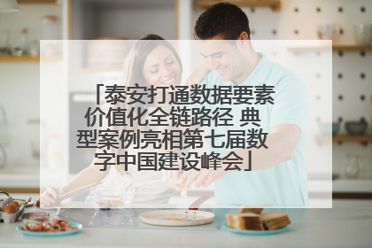 泰安打通数据要素价值化全链路径 典型案例亮相第七届数字中国建设峰会