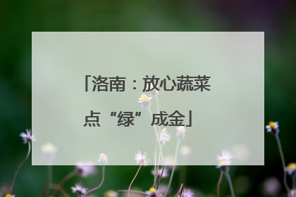 洛南：放心蔬菜点“绿”成金