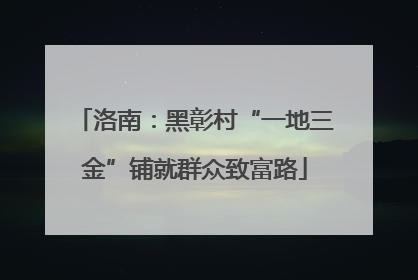 洛南：黑彰村“一地三金”铺就群众致富路