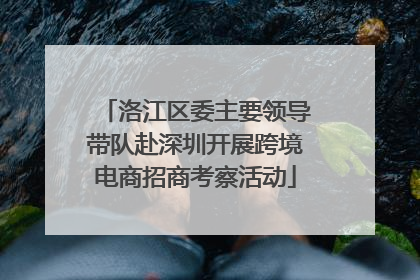 洛江区委主要领导带队赴深圳开展跨境电商招商考察活动