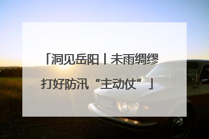 洞见岳阳丨未雨绸缪 打好防汛“主动仗”