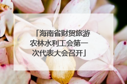 海南省财贸旅游农林水利工会第一次代表大会召开