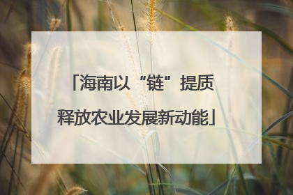 海南以“链”提质 释放农业发展新动能