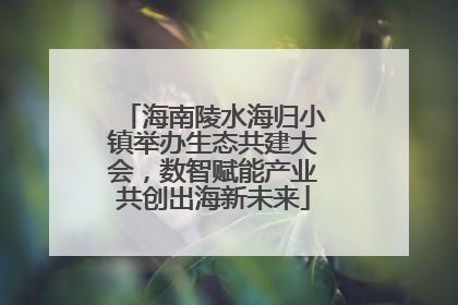 海南陵水海归小镇举办生态共建大会，数智赋能产业共创出海新未来
