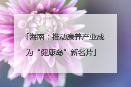 海南：推动康养产业成为“健康岛”新名片