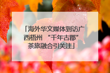 海外华文媒体到访广西梧州 “千年古郡”茶旅融合引关注