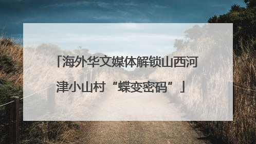 海外华文媒体解锁山西河津小山村“蝶变密码”