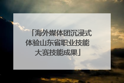 海外媒体团沉浸式体验山东省职业技能大赛技能成果