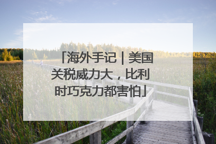 海外手记｜美国关税威力大，比利时巧克力都害怕