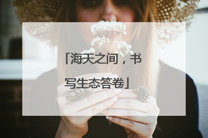 海天之间，书写生态答卷