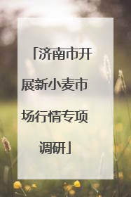 济南市开展新小麦市场行情专项调研