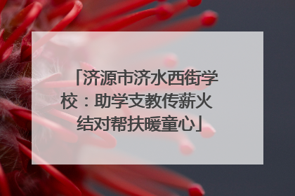 济源市济水西街学校：助学支教传薪火 结对帮扶暖童心