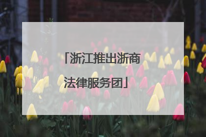 浙江推出浙商法律服务团