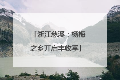 浙江慈溪：杨梅之乡开启丰收季
