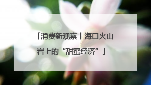 消费新观察丨海口火山岩上的“甜蜜经济”