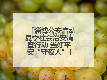 淄博公安启动夏季社会治安清查行动 当好平安“守夜人”