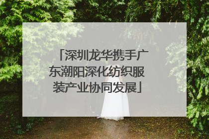 深圳龙华携手广东潮阳深化纺织服装产业协同发展