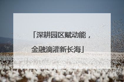 深耕园区赋动能，金融滴灌新长海