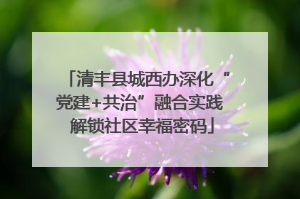 清丰县城西办深化“党建+共治”融合实践 解锁社区幸福密码