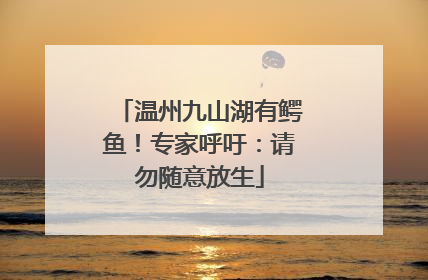 温州九山湖有鳄鱼！专家呼吁：请勿随意放生