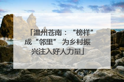 温州苍南：“榜样”成“邻里” 为乡村振兴注入好人力量