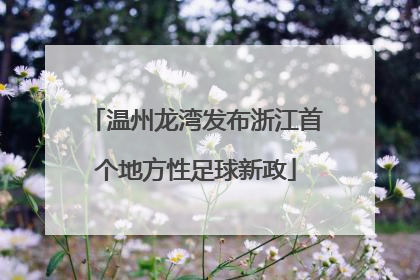 温州龙湾发布浙江首个地方性足球新政