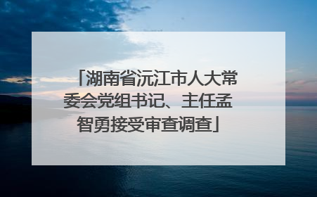 湖南省沅江市人大常委会党组书记、主任孟智勇接受审查调查