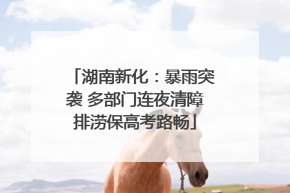 湖南新化:暴雨突袭 多部门连夜清障排涝保高考路畅