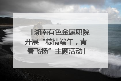 湖南有色金属职院开展“粽情端午，青春飞扬”主题活动