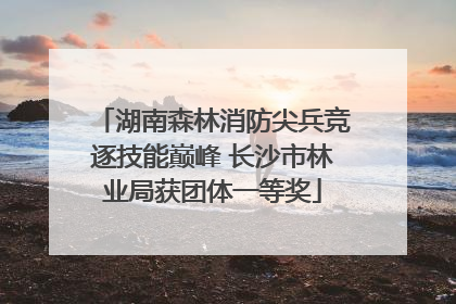 湖南森林消防尖兵竞逐技能巅峰 长沙市林业局获团体一等奖