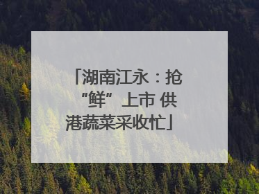 湖南江永：抢“鲜”上市 供港蔬菜采收忙